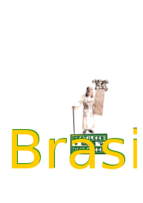 Gentileza_Brazilian Prophet_Tribute 3